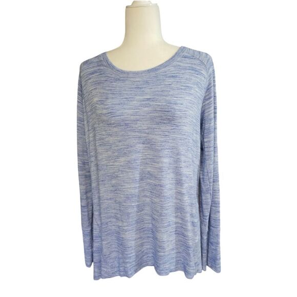 Champion Long Sleeve Heathered Crew Neck Stretch Blue Top Size Large - Picture 1 of 7